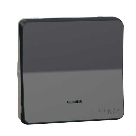 BOUTON POUSSOIR LUMINEUX LED - COMPOSABLE - IP55 - IK08 - GRIS MUREVA STYL MUR35127 SCHNEIDER