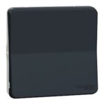 INTERRUPTEUR SIMPLE ALLUMAGE VA ET VIENT- COMPOSABLE - IP55 - IK08 - GRIS MUREVA STYL MUR37021 SCHNEIDER