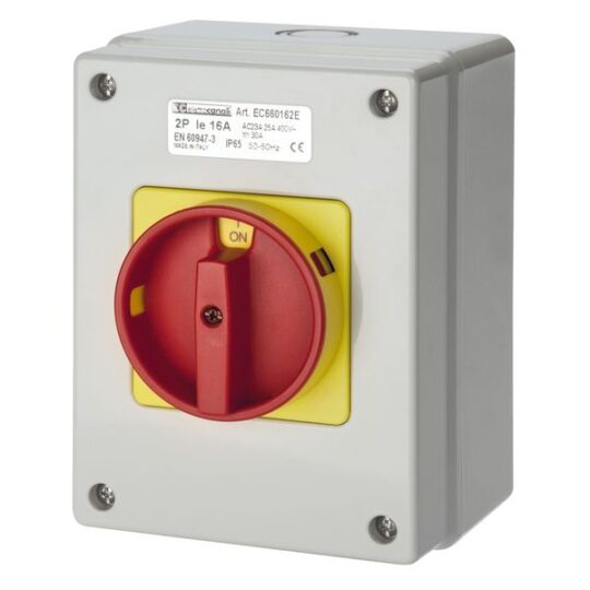 INTERRUPTEUR 2X25A ROTATIF SUR COFFRET IP65 205X155X125 EC660252E ELETTROCANALI