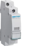 VOYANT LUMINEUX INCOLORE SVN125 HAGER