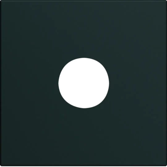 ENJOLIVEUR POUR PRISE TV GALLERY 2M NOIR WXD251N HAGER