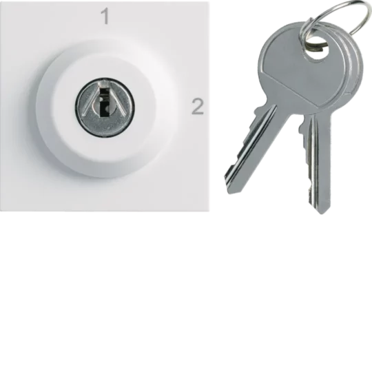 INTERRUPTEUR CLEFS GALLERY 2 POSITIONS 2M PURE WXF615B HAGER