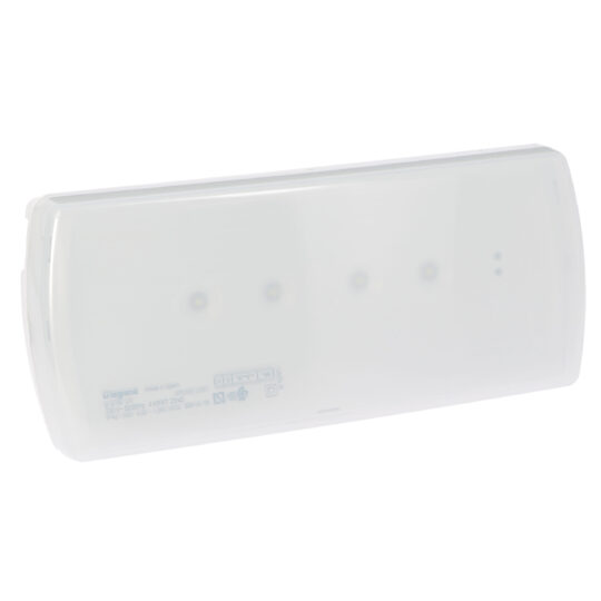 LUMINAIRE U21-STANDAR NON PERMANENT-1h -200 lm-LED 661608 LEGRAND