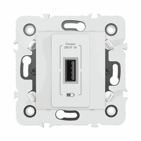 PRISE USB MECANISME SIMPLE BLANC MILLENIUM MEC20941BL1/10 LAP