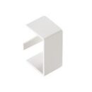 EMBOUT TERMINAL POUR MOULURE 100X60