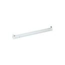 REGLETTE  LED NUE 1X0.60 +AMPOULE INGELEC